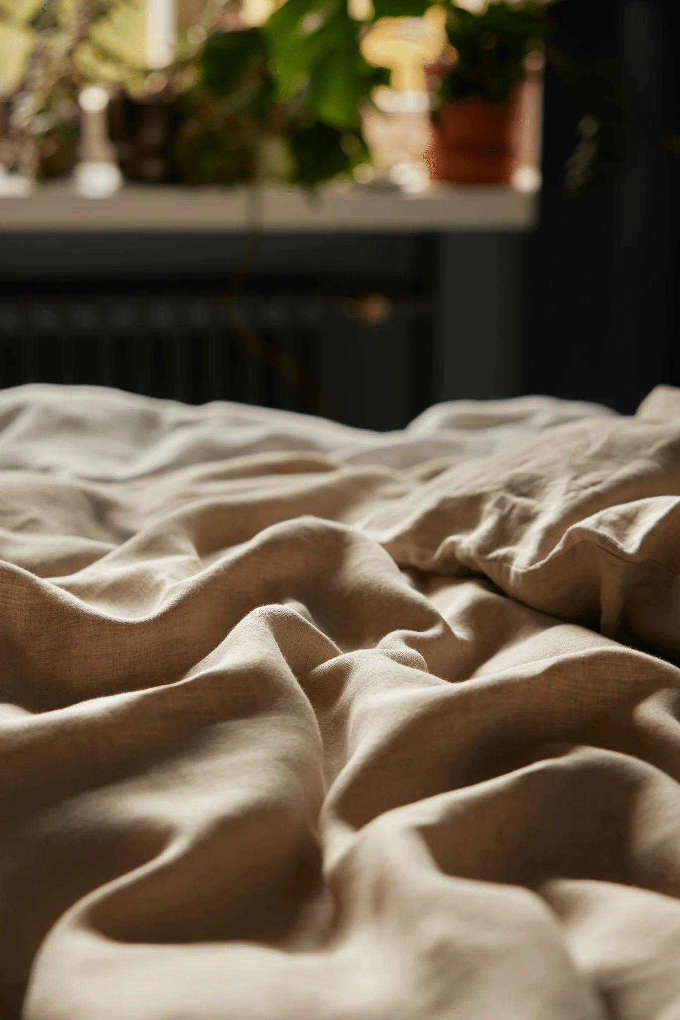 Jesus Pellavapussilakanasetti - Image 3