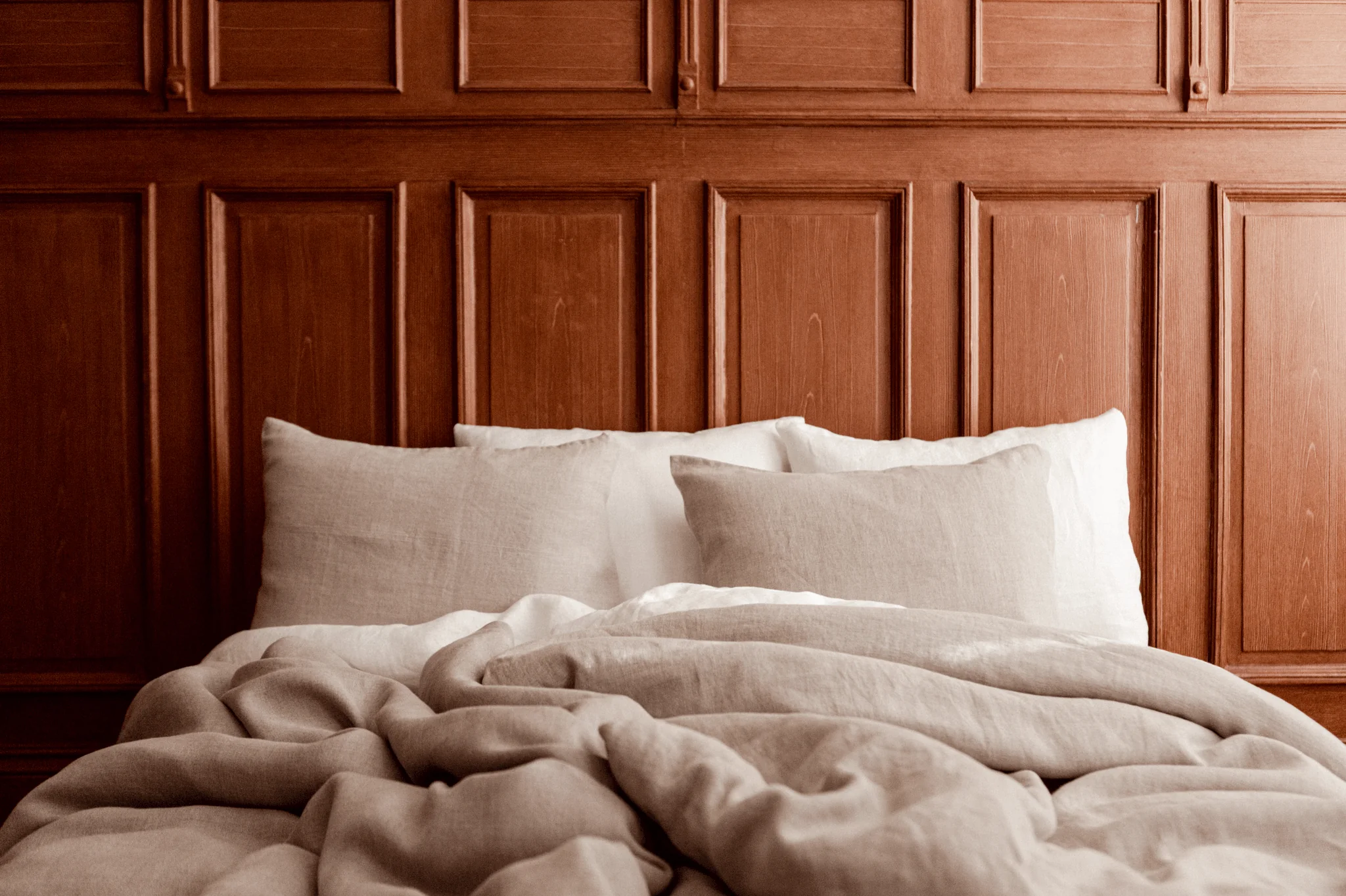 Jesus Pellavapussilakanasetti - Image 4