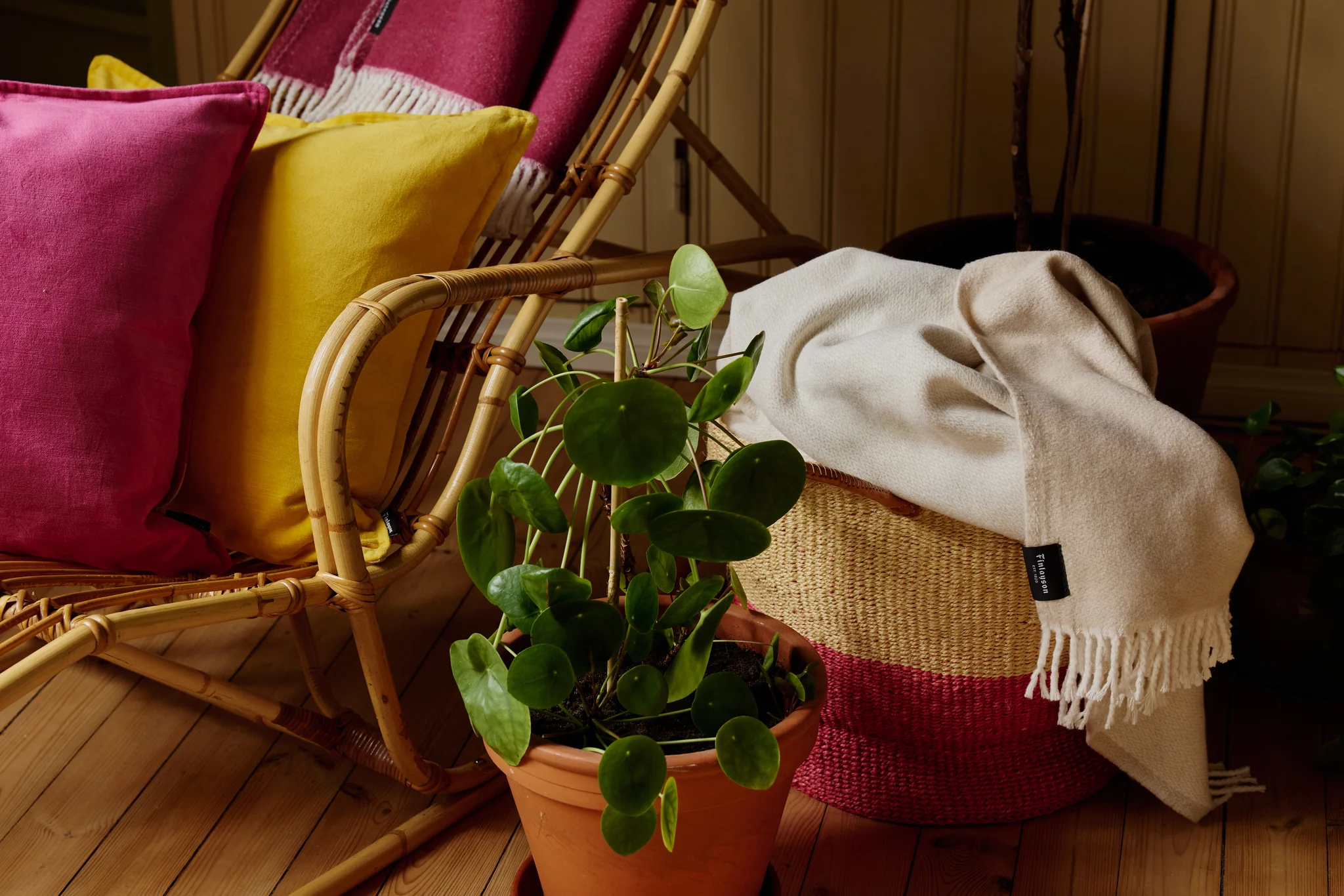 Sulo Torkkupeitto - Image 10