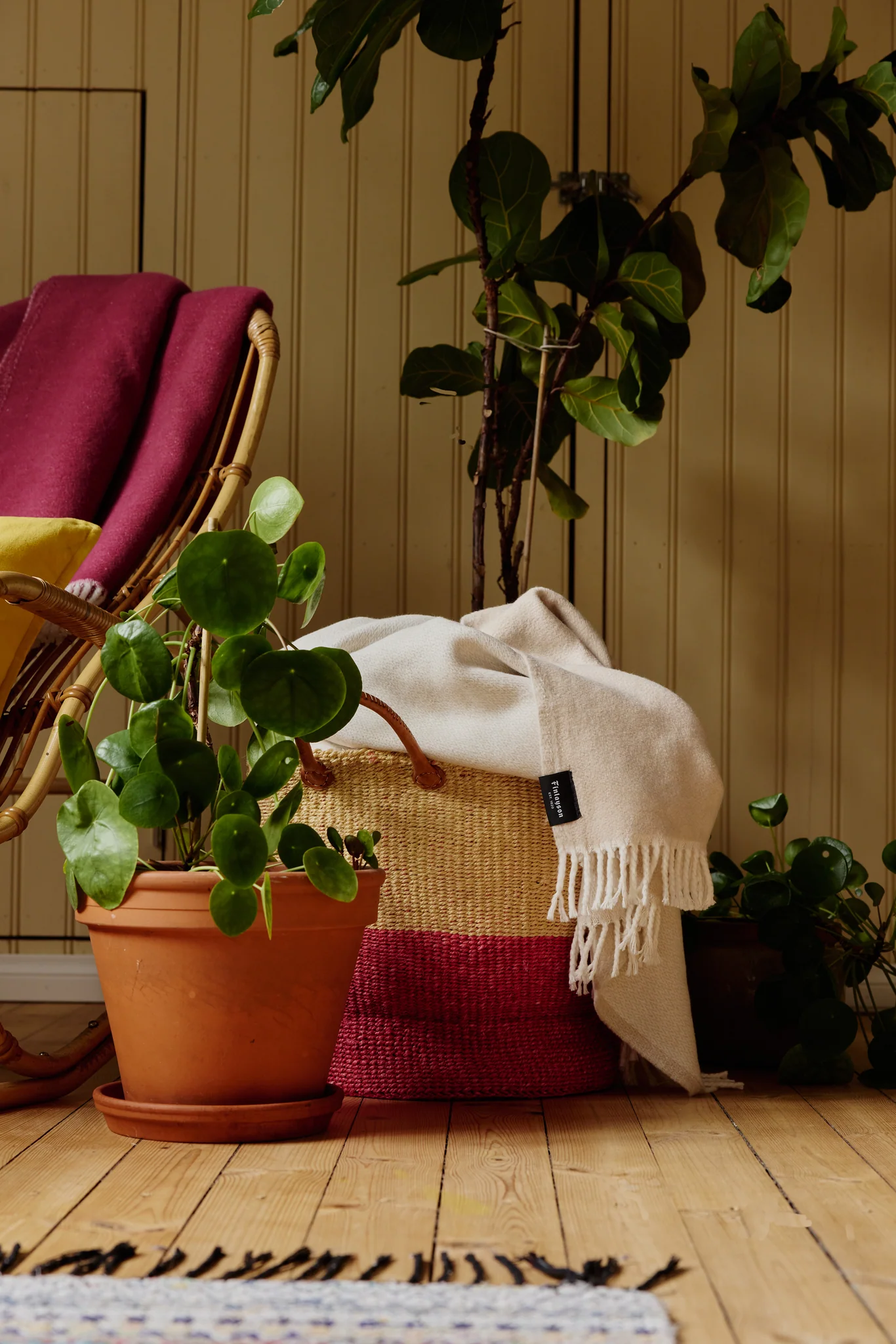 Sulo Torkkupeitto - Image 9